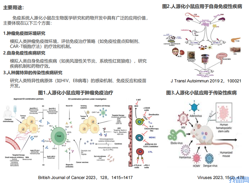 图片-人源化介绍2.png