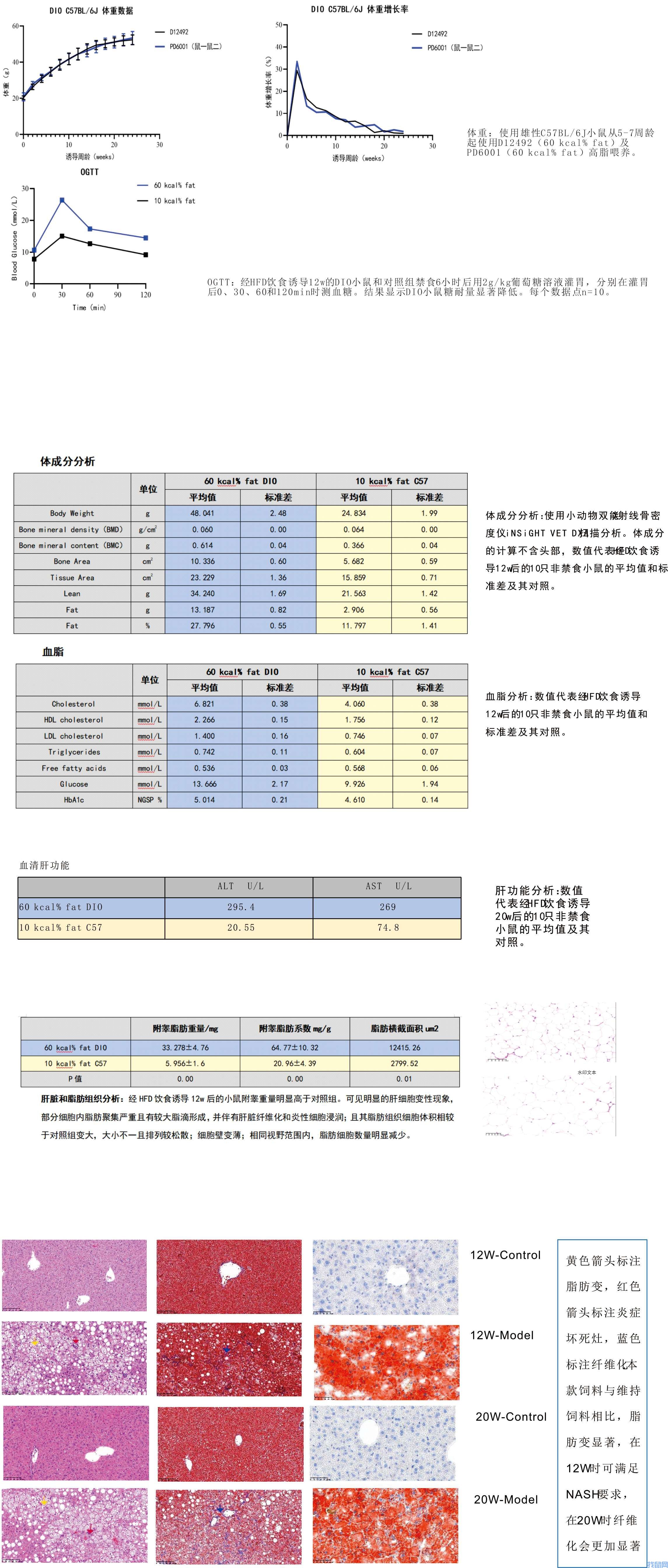 染色.jpg